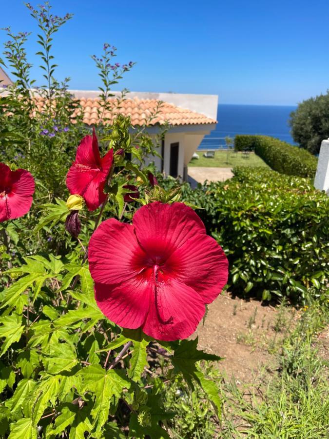 Villa Sofia *Luxury Experience In Calabria زامبروني المظهر الخارجي الصورة