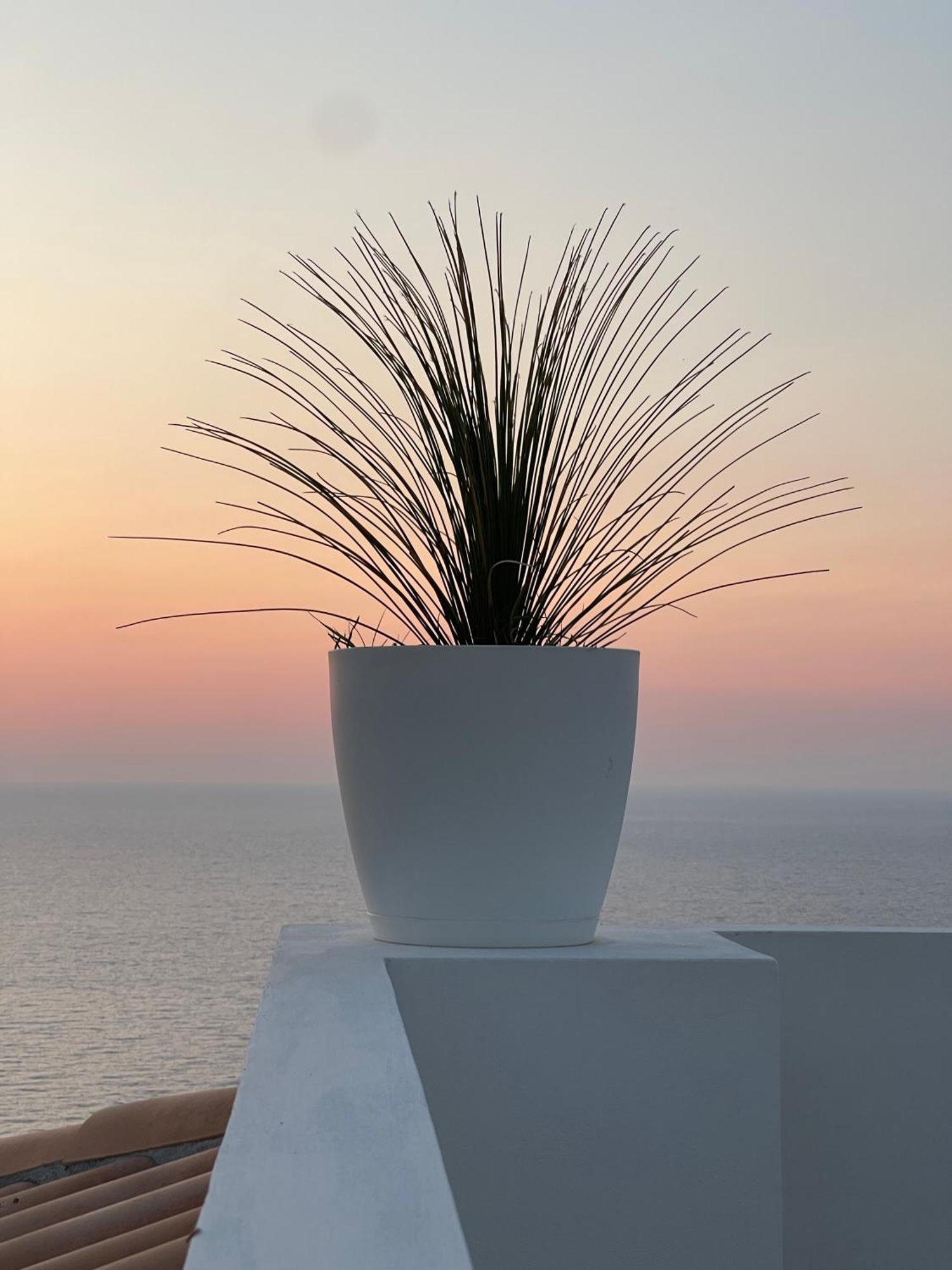 Villa Sofia *Luxury Experience In Calabria زامبروني المظهر الخارجي الصورة